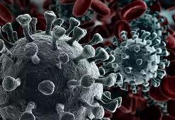 Kanser taramalarında SMS ile bilgilendirme dönemi