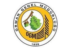 OGM’den orman yangınlarından sonra yapılan çalışmalar hakkında bilgi verildi