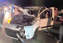 Bingöl’de hafif ticari araç ata çarptı: 1 ölü, 1 yaralı