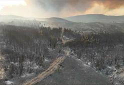 Çanakkale'deki orman yangını kontrol altında