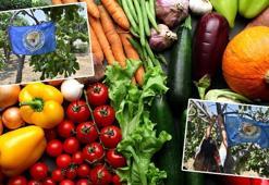 Kalıntısız yaş sebze ve meyve üreten çiftçilere 'mavi bayrak'