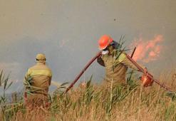 OGM Müdürü Karacabey: Yangınların yüzde 57'si orman dışı alanlarda başladı
