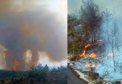 Adana'daki orman yangını kontrol altında