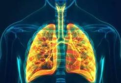 Türkiye'nin organ nakli üssü, akciğer nakline başlıyor