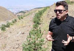 Palandöken'i ağaçlandırma ve çimlendirme projesinde arılar da kullanılıyor