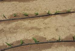 'Kısıtlı sulama koşullarında tarımsal üretkenliği sürdürülebilirlik mümkün'