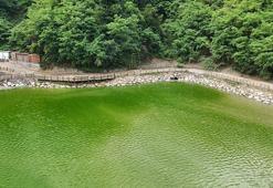 30 kamyon çöp çıkarılan Sera Gölü, berraklaştı