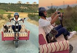 Çift kişilik koltuk monte ettiği skuter ile köpekleriyle yolculuk yaptı