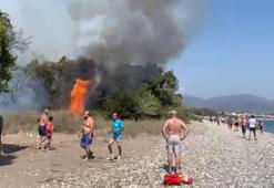 Muğla'da orman yangını