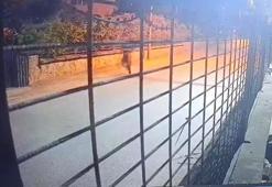 Eyüpsultan'da taksici Sefer Kaya'yı öldüren şüpheli tutuklandı