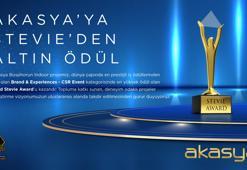Akasya ve Akbatı’nın projeleri Stevie Awards’ta ödüle layık görüldü