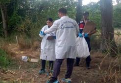 Samsun’da kayboldu, Düzce’de kemikleri bulundu