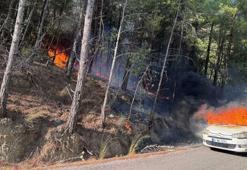 Park halindeki otomobilde çıkan yangın ormana sıçradı