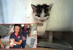 Avcılar’da başı lavabo deliğine sıkışan yavru kediyi itfaiye kurtardı