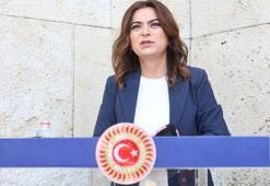 DEM Parti'li Koçyiğit: Siyaset, hukuki adımları hızlıca atmalı