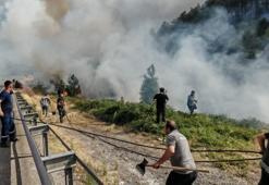 Bolu'da orman yangını