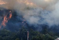 Bolu'da orman yangını