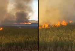 Karamık Gölü'nde yangın