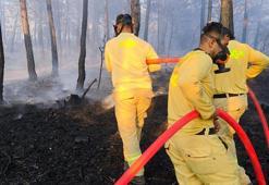 Bolu'da 8,5 saatte kontrol altına alınan orman yangınında soğutma çalışmaları sürüyor