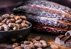 Bilim insanları mükemmel çikolatanın formülünü keşfetti