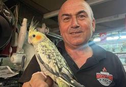 50 metrekarelik dükkanında kuş sesleri eşliğinde üretim yapıyor