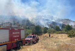 Bingöl’de örtü yangını
