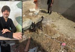 Büyükçekmece'de villa bahçesindeki ceset soruşturması: 3 şüpheli tutuklandı