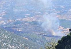 Muğla'da orman yangını