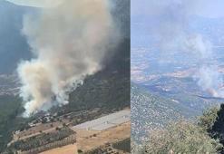 Muğla'da orman yangını