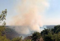 Adana’da orman yangını