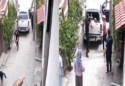 Bayılttıkları köpekleri aracın kasasına fırlattılar; o anlar kamerada