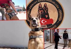 Narkotik köpeği ‘Pars’ emekliye ayrıldı