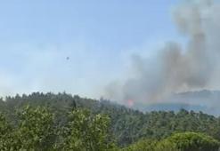 Çanakkale'de orman yangını kontrol altında