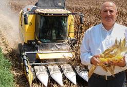 Mısır üreticisine ton başına 688 lira ek destek