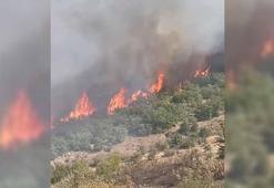 Malatya'da orman yangını