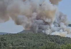 İzmir’de orman yangını
