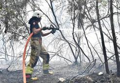 İzmir’de çıkan orman yangını kontrol altında