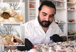Topladığı 10 milyon deniz kabuğu ile koleksiyon oluşturdu