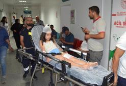 Düğüne giden çocuğu köpek ısırdı