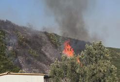 Bursa'da orman yangını soruşturmasında 1 gözaltı