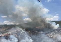 Kocaeli'de ot yangını kontrol altında