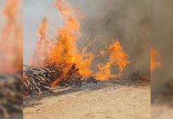 Malatya'da orman yangını