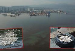 İzmir Körfezi'nde balık ölümleri arttı; kötü koku yayılıyor