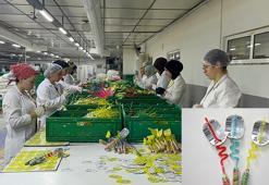 Yalova'da bir işletme ürünlerine de karekod basıp, örnek oldu