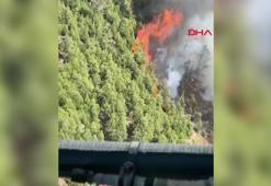 Denizli'de orman yangını