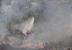 Denizli'de orman yangını