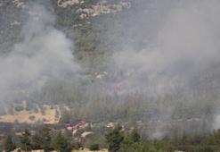 Denizli'de orman yangını
