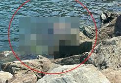 Yalova'da denize giren eski futbolcu Metin Baş boğuldu