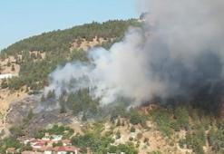 Tokat’ta orman yangını