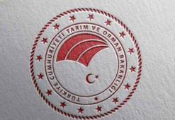 Krema ve kaymak üretimine yeni standartlar getirildi